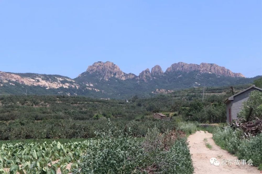 天崮山:栖蓬黄三县交界处的好地方