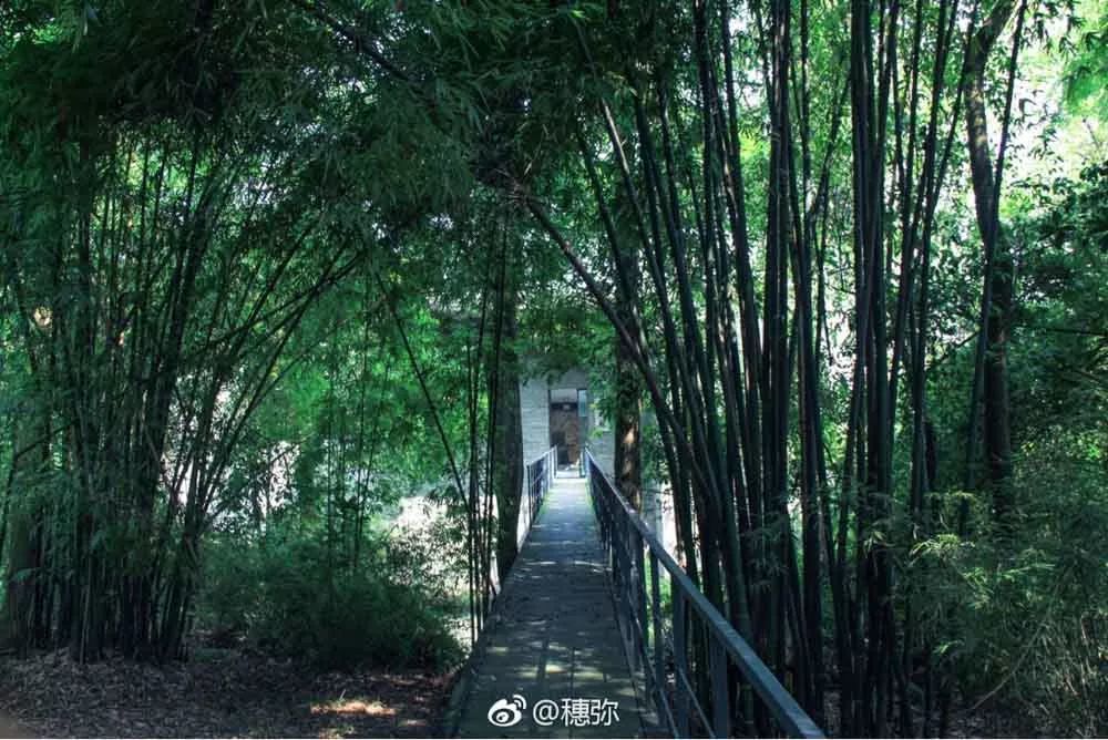 成都府河边上竟然有座 小京都 小众又冷僻
