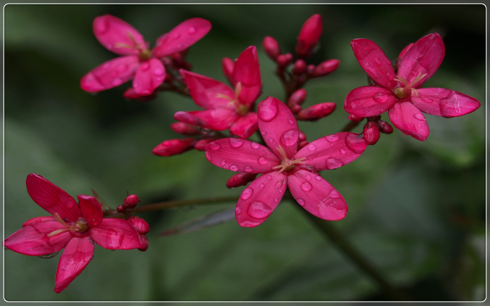 六月财神驾到马上发财,横财大爆发,3星座天降鸿运,富贵流油!