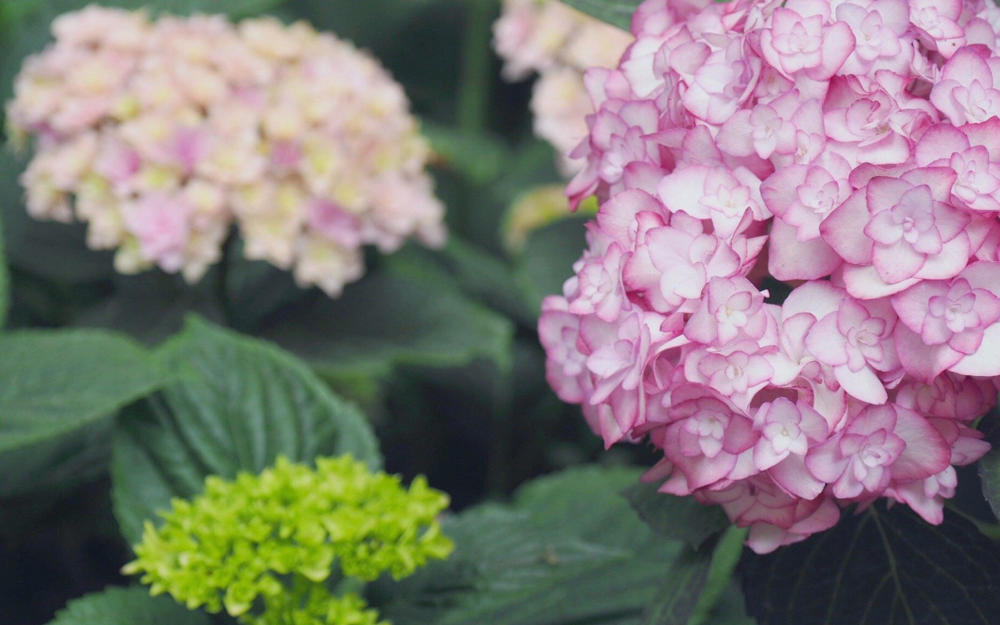 未来30天,财运高涨,事业腾飞,一路向吉的星座!