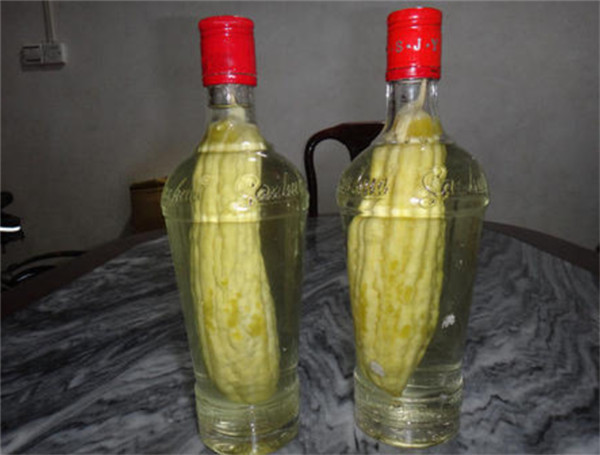 网友疑惑:苦瓜酒的苦瓜是怎么装进瓶子中的?喝苦瓜酒有哪些功效