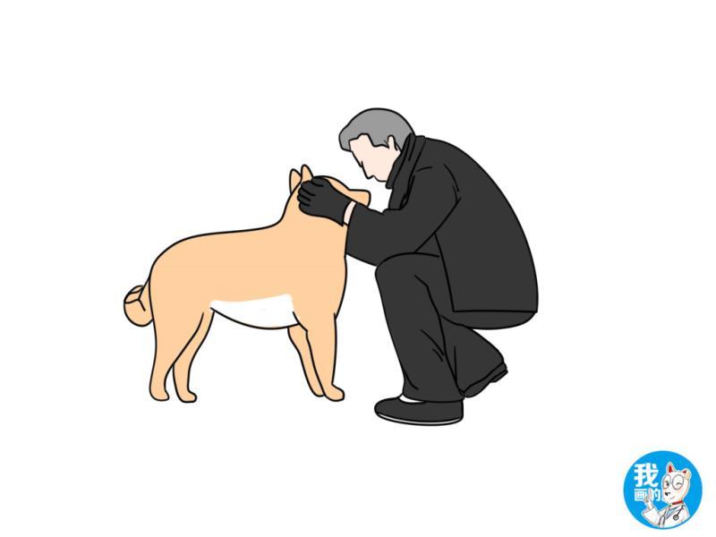 未见其人,先闻其声,准确辨别主人脚步声的狗狗难道真会读心术