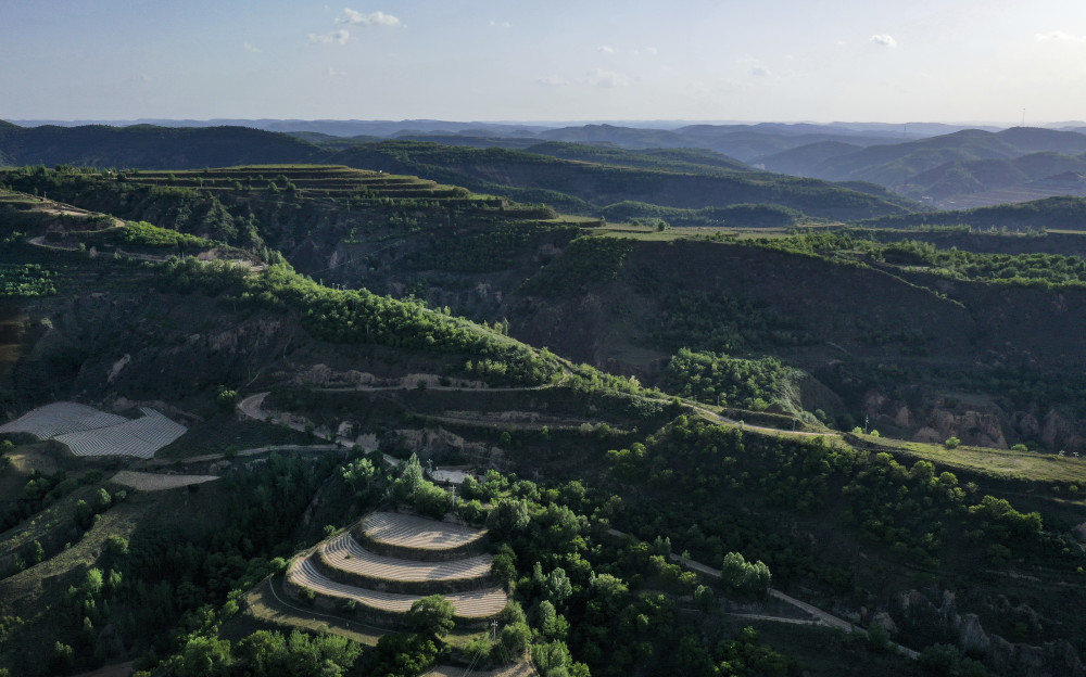 (7)陕西吴起:让黄土高坡披彩挂绿