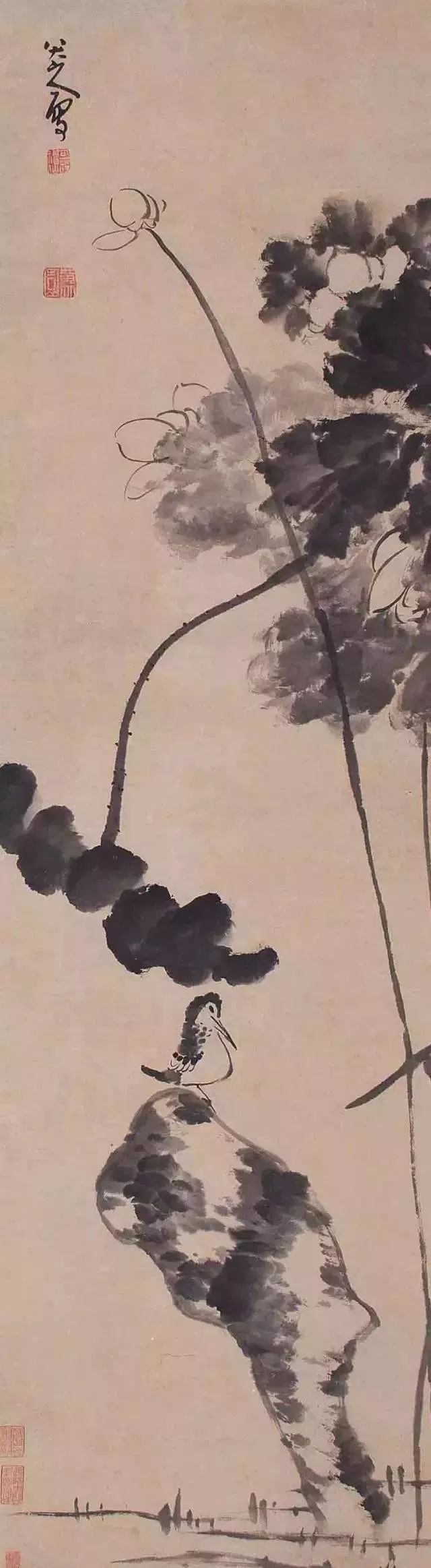 八大山人 荷花翠鸟图