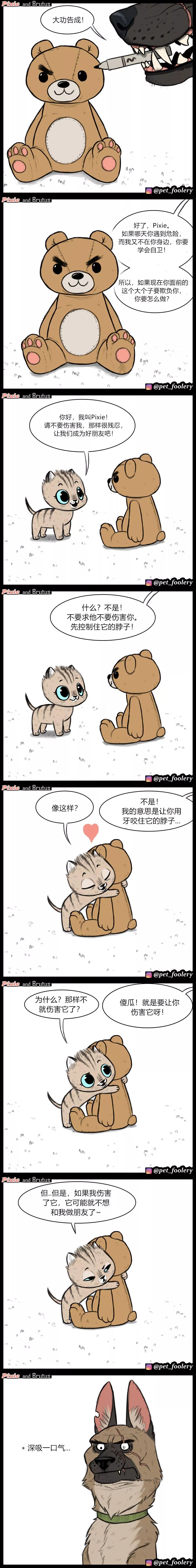 退役军犬和小萌猫图片