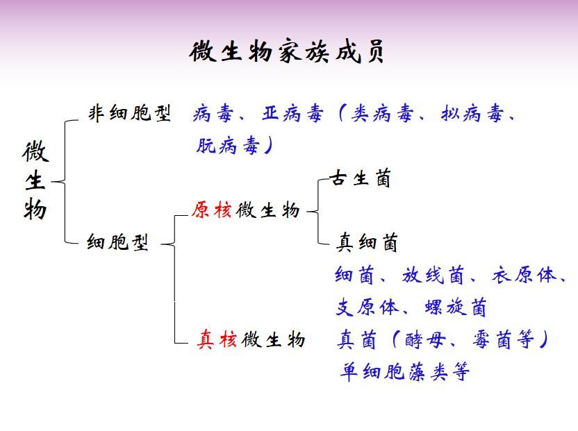 漫话乙肝 乙肝到底是怎么回事儿