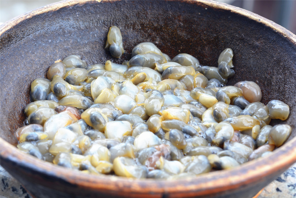 宁波这个"小海鲜"出名了,上过2次央视!来看看宁波正宗的吃法