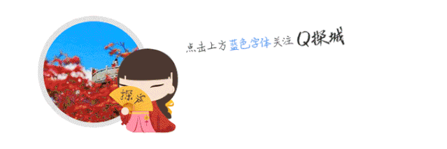 6号线直达重庆的 普罗旺斯 置身紫色花海 腾讯新闻