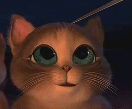 259_215gif 动态图 动图