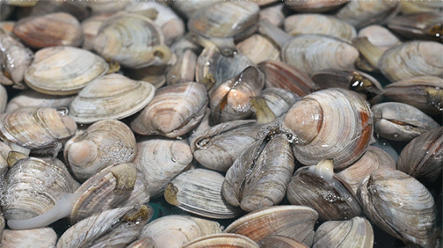 639_359gif 动态图 动图