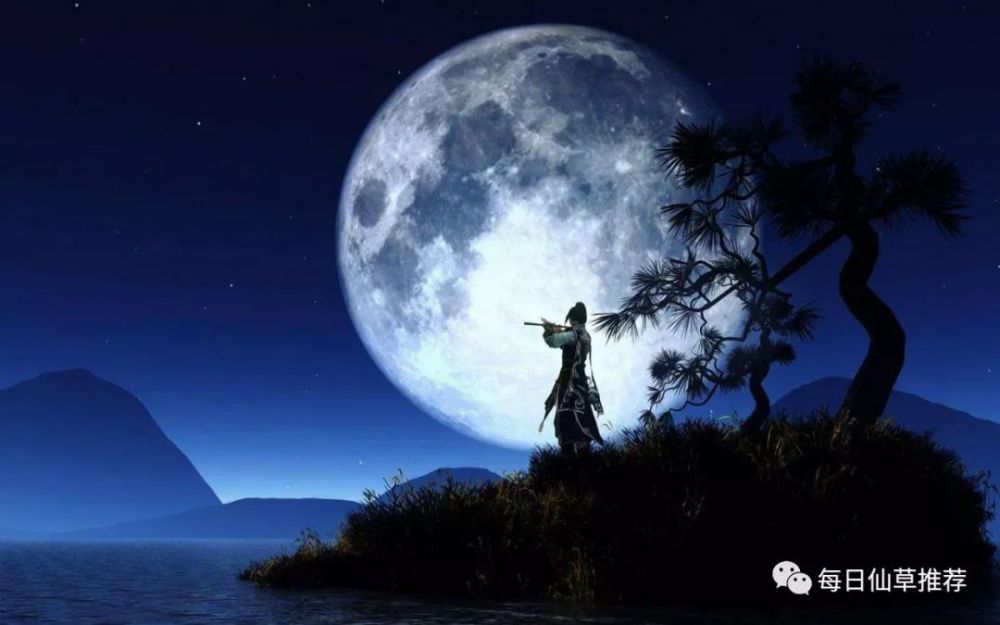 玄幻专栏第7期——"独断乾坤"