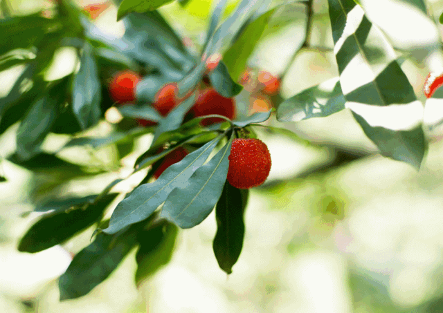 640_453gif 动态图 动图