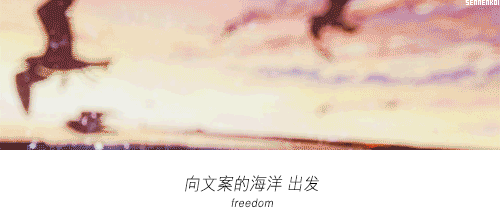 黄河|这套房地产海报，文案有味道