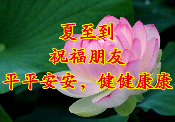 【明日夏至 早上好问候句子】