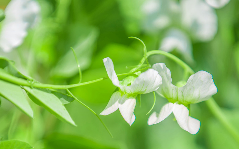 7月,家門富貴百事旺,招財聚財,3星座升職加薪,添丁添財!