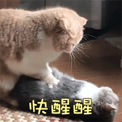 但是激光祛斑不适合疤痕性皮肤