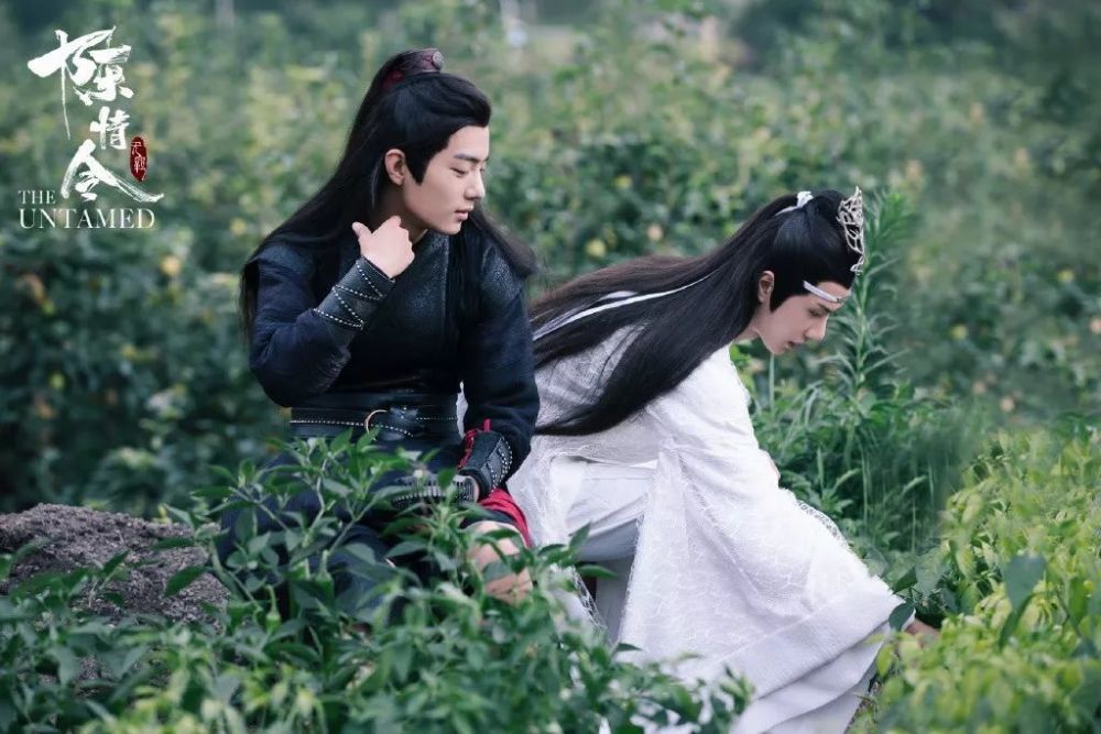 BX19 陳情令 写真集 王一博 肖戰 限定 rose kiss secre