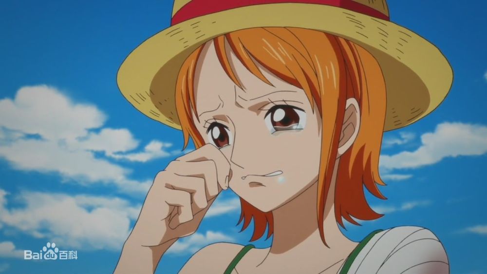 【航海士】"小贼猫"娜美【剑士】"海贼猎人"罗罗诺亚·索隆