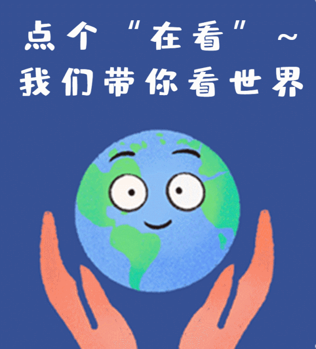 海口电动车何时恢复上牌你关心的问题交警部门都回复了