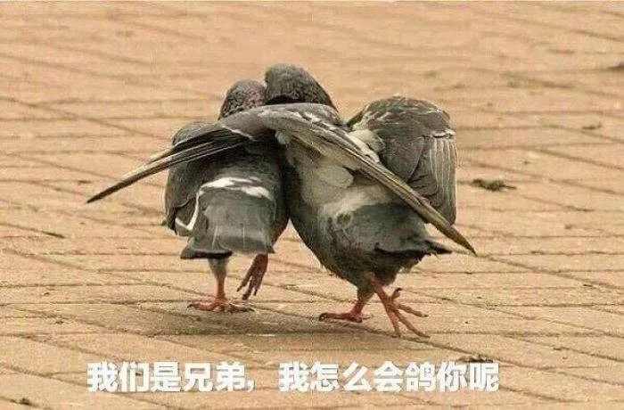 腾讯云开发者社区-腾讯云