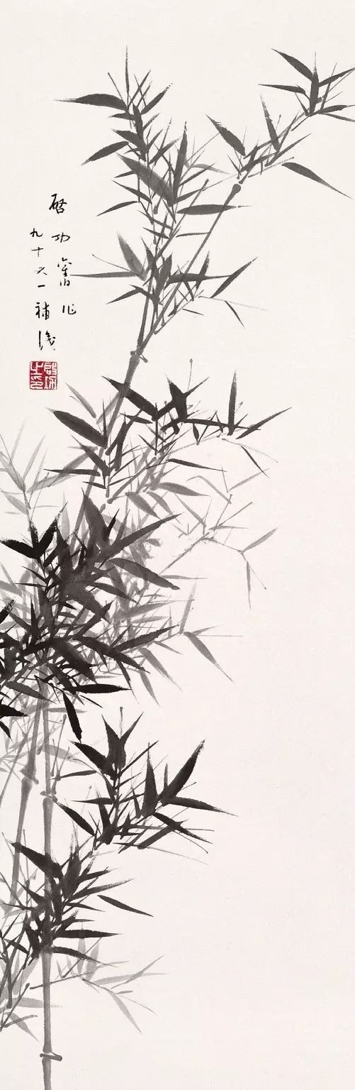启功|启功画竹，风景独好！