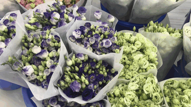 中和花市 让成都南门人更洋盘