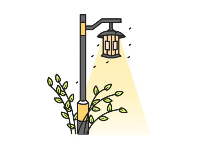 市民报料:市区这个公园路灯故障频发!相关部门回应