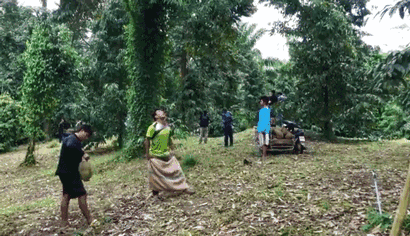 嗅觉|榴莲闻着臭吃着香，是因为我们的嗅觉分为鼻前嗅觉和鼻后嗅觉