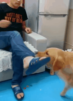 235_325gif 动态图 动图