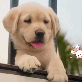 外国人说 Do You Mind 时一定要注意 他可能生气了