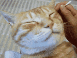 耳屎|油耳朵里的“油”是啥？耳屎到底要不要掏？总算是清楚了