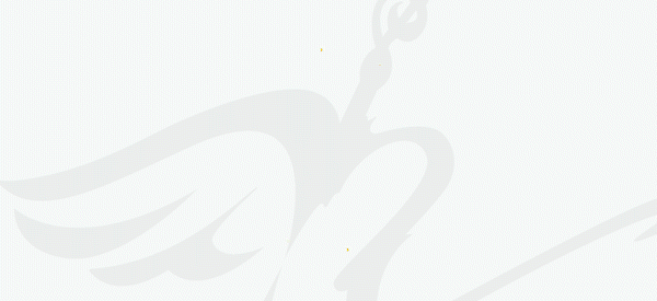 d小调双小提琴协奏曲|演奏《D小调双小提琴协奏曲》