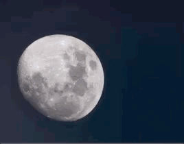 把人类送上月球的女程序员她的代码跟登月本身一般浪漫腾讯新闻 ...