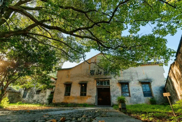 首先,碧山村它真的是个村,在安徽黄山.