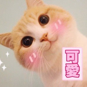 宠物猫狗上线 萌翻全场 你喜欢哪一种 腾讯新闻