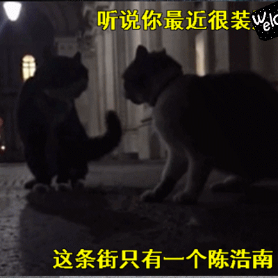 英国外交部|英国外交部首席捕鼠官Palmerston卸任退休