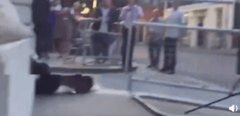 英国外交部|英国外交部首席捕鼠官Palmerston卸任退休