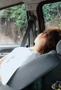 搞笑gif:百年的狐狸,终是斗不过千年的妖!这年头套路太深了