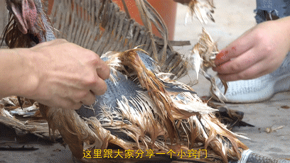 厨师长教你:"柴火鸡"的农村做法,柴火慢烧味道入骨,菜如其名