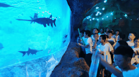 五天四晚,跟着都市快报狮子夏令营,玩宁波