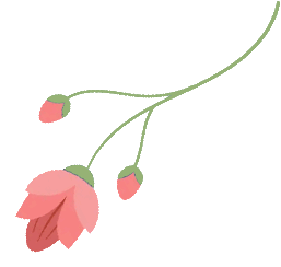 六一书单 | 儿童节宝藏好书推荐!