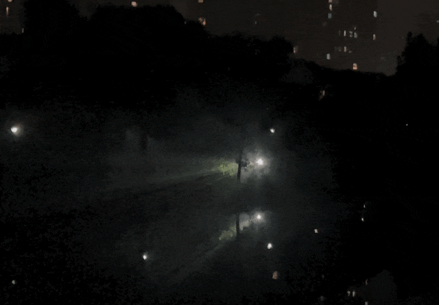 你只是遇到了抓知了猴大军千万别害怕一团团黑影不停闪动一束束光晃来