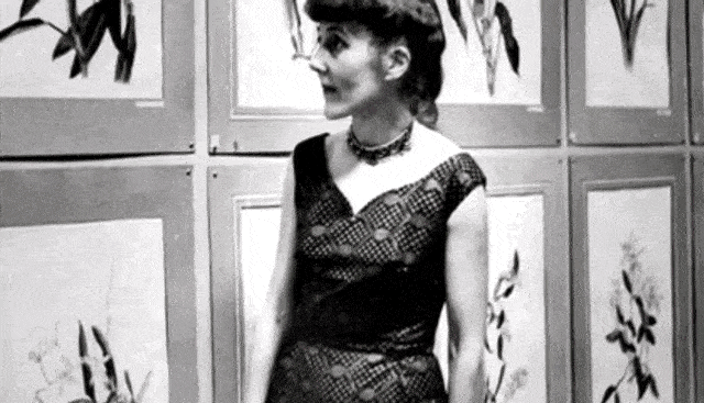 开创出不同风格,留下丰富的科学与艺术结合的遗产,例如在林奈时期创建