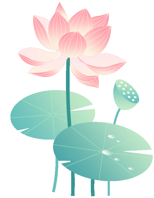 推荐 | 云南夏日「赏荷打卡地」来了!