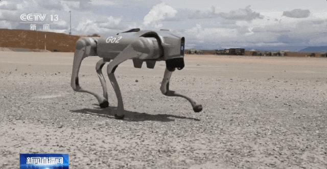 扛着机枪的机器狗,酷!
