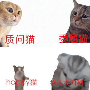 猫 meme 视频全网爆火！到底对年轻人有什么魔力？_腾讯新闻