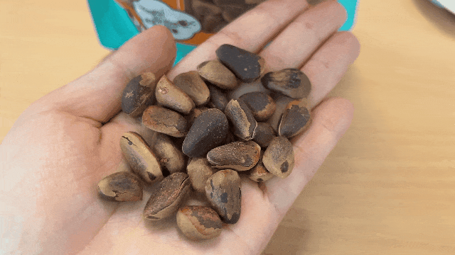 大颗粒东北野生松子限时抢