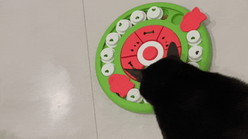 海水鼻腔喷雾器怎么用我们最近又买了 5 个好用的「新玩意」_https://www.jmylbn.com_新闻资讯_第8张