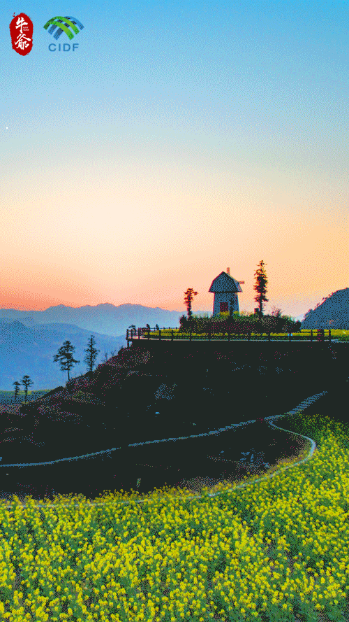 五洲望乡动图概览侨乡青田