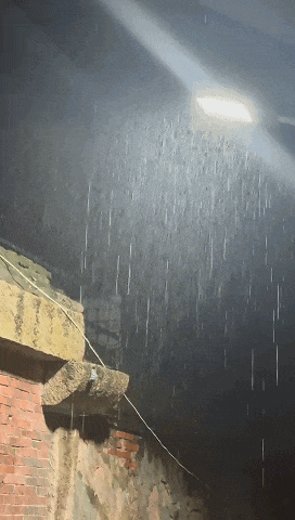 大到暴雨!泉州人赶紧回家!